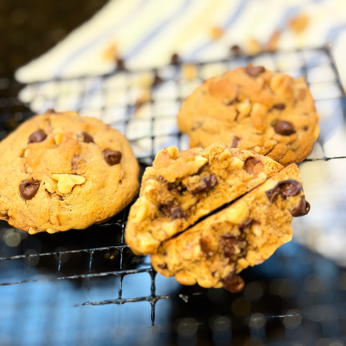 Chocolate Chip Walnut Cookies