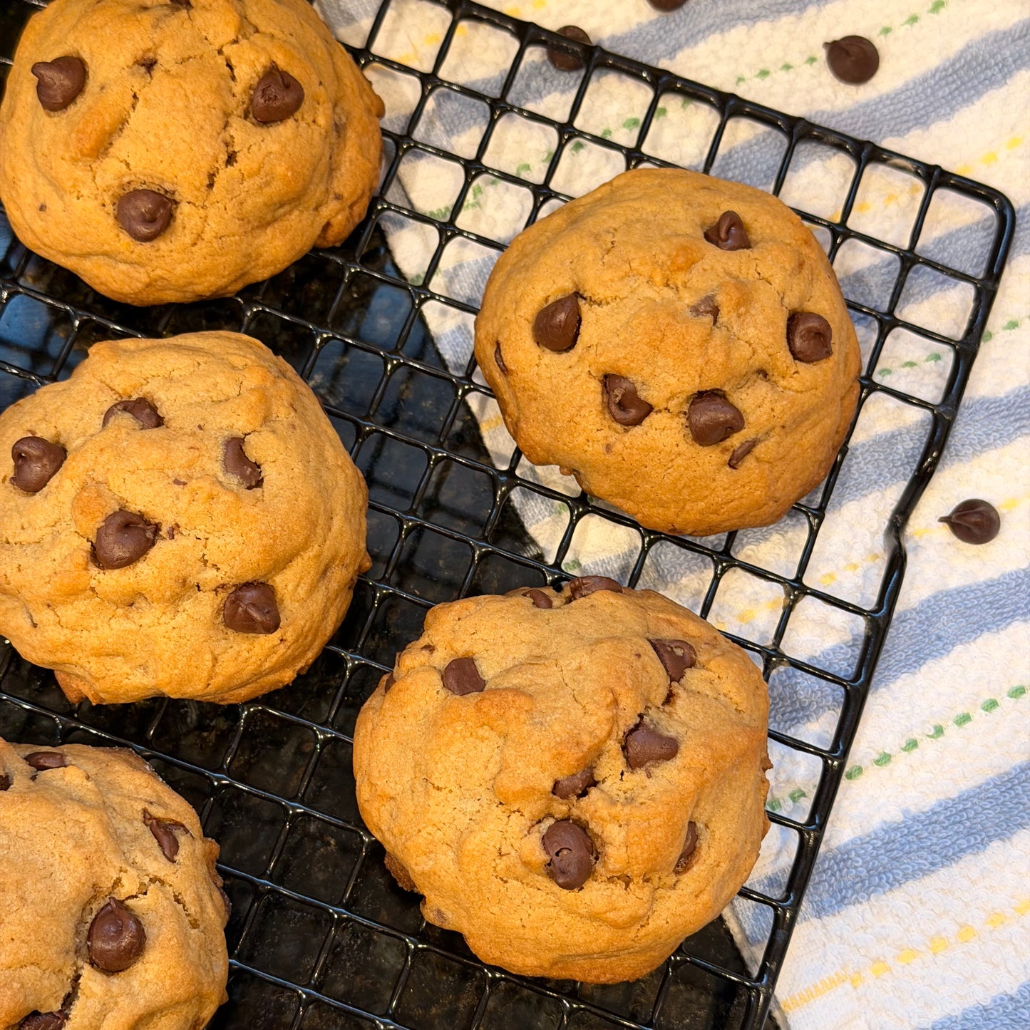 Soft, Thick Chocolate Chip Cookies. Freshly Baked Cookies 
 – 6 Pack