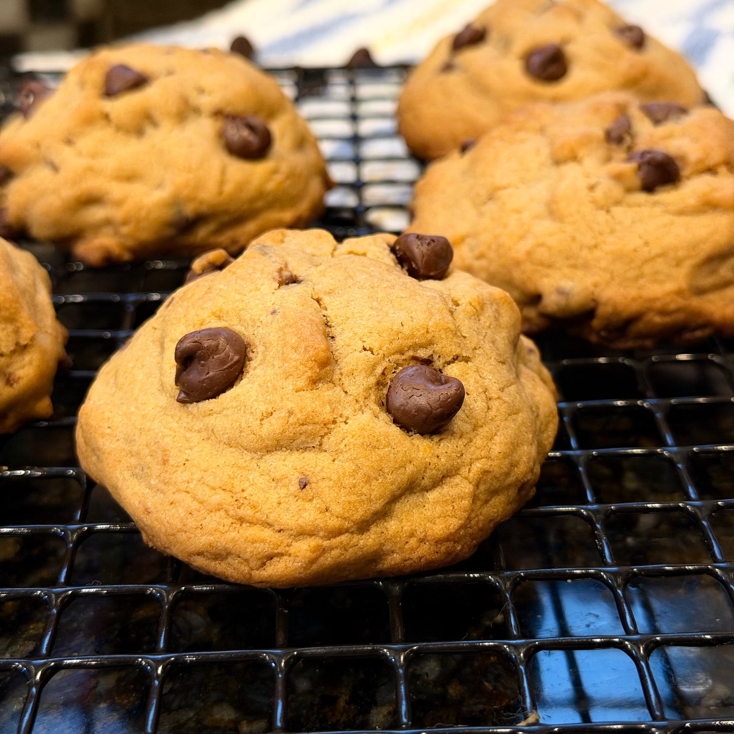 Soft, Thick Chocolate Chip Cookies. Freshly Baked Cookies 
 – 6 Pack